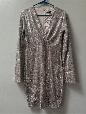 Express Silver Champagne Sequin Dress Long Sleeve Small Cocktail Party Clubwear